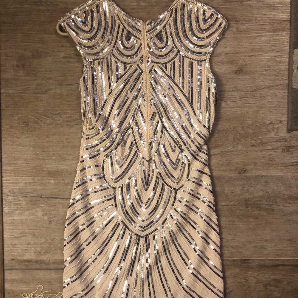 Gatsby/flapper 1920 Sequin fringe dress
